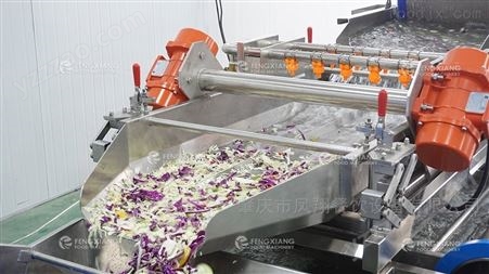 蔬果沙拉净菜生产线公司
