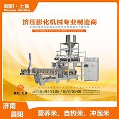 全自动化大米生产线 复合米设备 晨阳机械诚信厂家