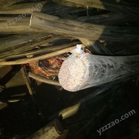 广州报废电缆回收公司 旧剥皮电缆电线中山回收热线