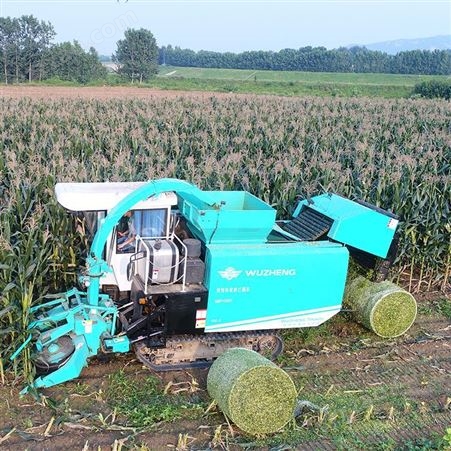 玉米粉碎收割机销售 收割机视频演示 五征高北