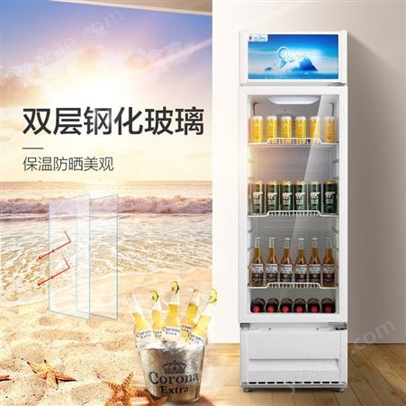 Midea/美的 SC-230GM冰柜立式保鲜柜商用展示冰箱饮料柜冷藏冷柜