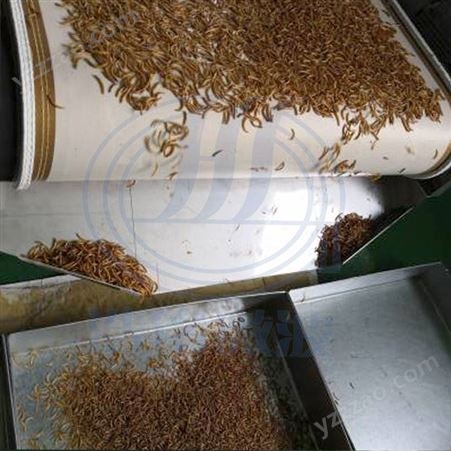 五谷杂粮熟化机 微波黄粉虫烘干设备 人参地黄药材烘干设备