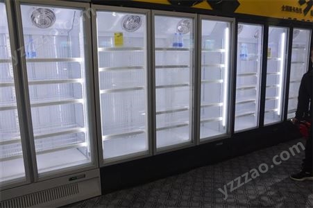立式保鲜冷藏展示柜经销 家用冷藏保鲜展示柜