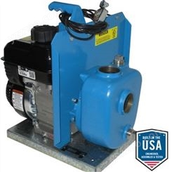 美国Goulds研磨泵B20AE R1原件进口