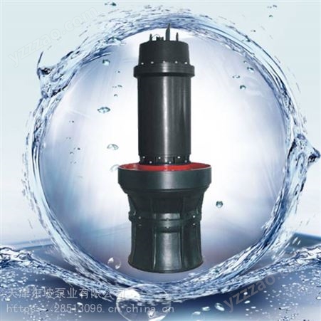 大流量轴流泵 便携式潜水泵 大流量防汛泵