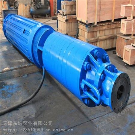 天津东坡井用不锈钢潜水泵-600-40井用潜水电泵