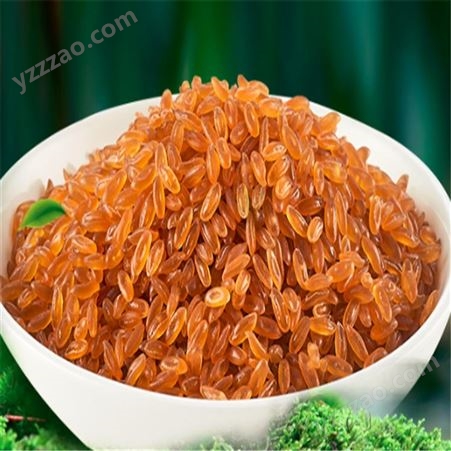 复合米加工厂设备 营养大米 杂粮复合米