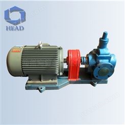 大流量泵 YCB60大口径高温圆弧齿轮油泵 生产加工定制泊头油泵