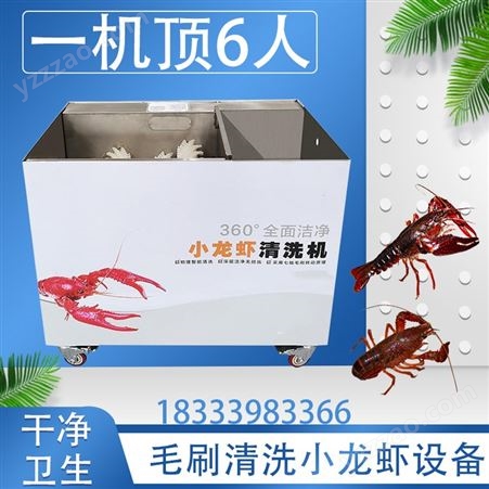 自动洗虾机 饭店龙虾清洗设备 创达 毛刷360度旋转清洗 质量保证