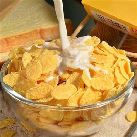 济南比睿特 厂家销售早餐麦圈生产设备 玉米片加工生产机械 欢迎实地考察