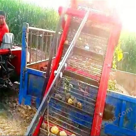 自动装车土豆地瓜收获机  双垄薯类作物联合收获机wzj