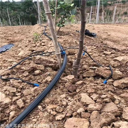 果园滴灌管灌溉PE管水肥一体化