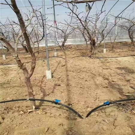 江西宜昌果树滴灌、火龙果灌溉设备、果树灌溉系统、果树滴灌水肥一体化