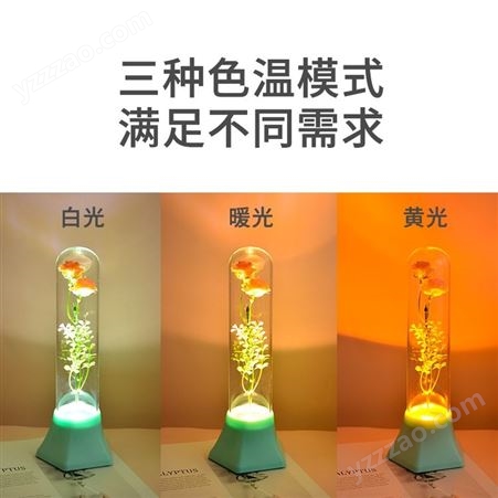 厂家直供创意玫瑰玻璃瓶无线遥控夜灯睡房书房灯摆台灯USB可充电