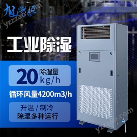 调温除湿机DPTW-10S 车间地下室吸湿器 升温制冷抽湿机