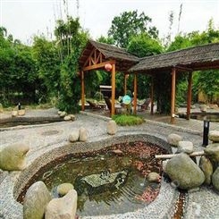贵州温泉规划方案 温泉水处理设备