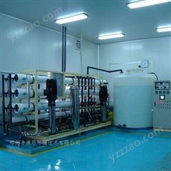 小型超纯水设备生产厂家 edi清洗工业高纯水设备