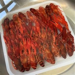 2021年11月冻虾/清水虾/中红虾456钱 质量很好 需要的联系
