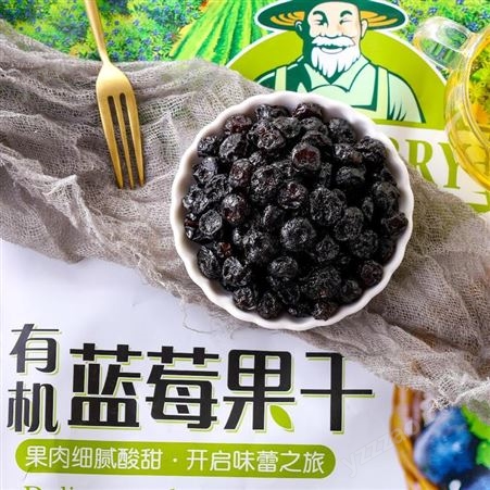 九鑫山珍有机养殖蓝莓干大颗粒蓝莓果干独立包装500g