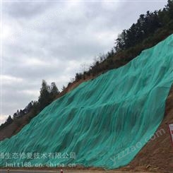 上海日本SF边坡生态修复技术彩光绿化稳定剂