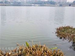 嘉兴河道湖泊污染黑臭水体处理矿物凝聚剂销售