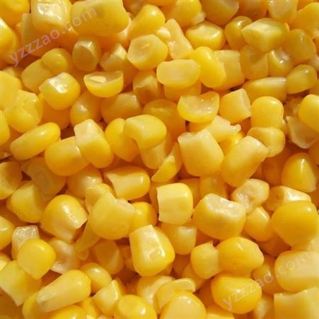 有机蔬菜速冻甜玉米厂家批发出售 冷冻玉米粒常年出售