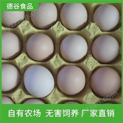 鸡蛋批发基地_德谷食品_供应鲜鸡蛋_