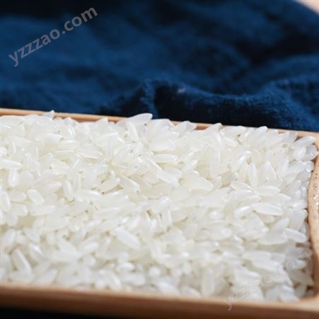 东北纯五常稻花大米 五谷杂粮散装10-20斤粮油大米批发