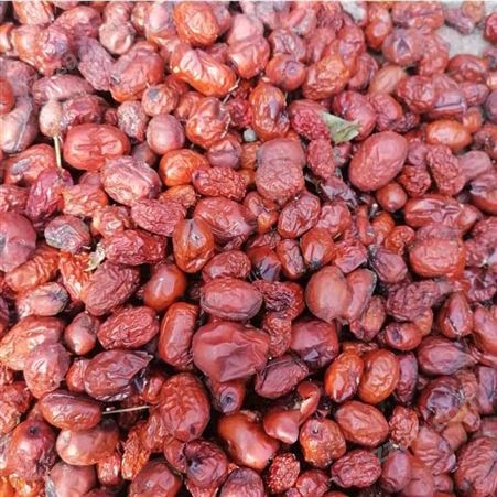 枣颗粒 天然无核枣 金丝小枣 质量可靠