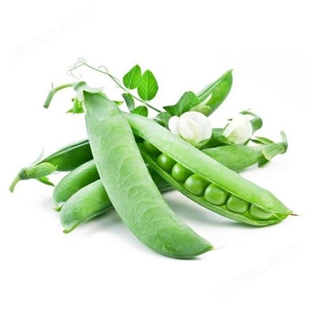 低温烘焙豌豆 农家营养豌豆现货批发 粮年隆