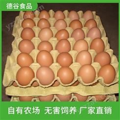 鸡蛋产地直销_德谷食品_富硒草鸡蛋_量大从优