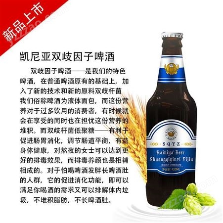 山东啤酒生产厂家招商，山西太原20升拉格黄啤招商，