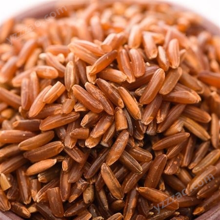 东北有机红糙米真空包装500g 农家自产可发芽红糙米红稻米大米批发