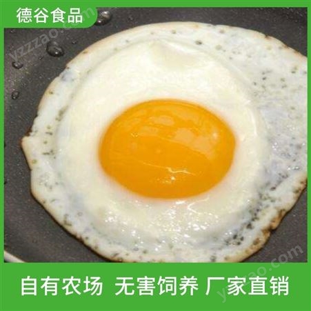 煎鸡蛋代工厂_德谷食品_代加工煎鸡蛋_欢迎咨询