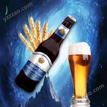 酒吧夜场啤酒供应 石家庄地区330毫升啤酒批发加盟 凯尼亚品牌啤酒