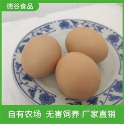 鲜鸡蛋_鲜鸡蛋礼盒_产地直销_德谷食品_量大从优