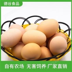 德谷食品_笨鸡蛋供应商_柴鸡蛋批发基地_日期新鲜