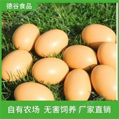 德谷食品_农家草鸡蛋_盒装草鸡蛋批发价_欢迎咨询