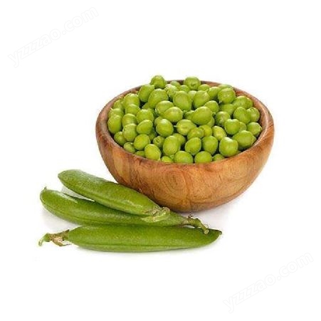 低温烘焙豌豆 农家营养豌豆现货批发 粮年隆