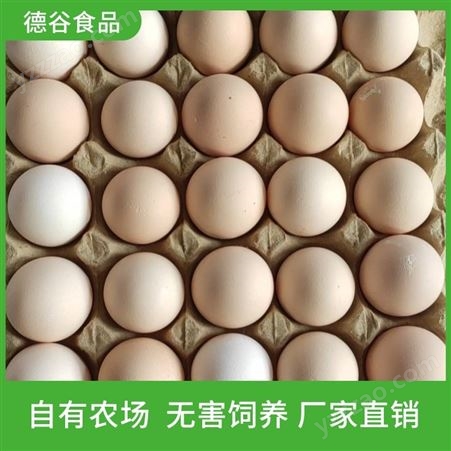 鸡蛋批发基地_德谷食品_供应鲜鸡蛋_