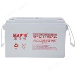 雷仕顿NP65-12蓄电池 适用UPS直流屏EPS电源雷仕顿12v65AH蓄电池