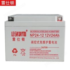 雷仕顿蓄电池NP12-24雷仕顿12V24AH铅酸免维护密封UPS直流屏通讯