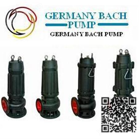 进口脱硫泵，德国循环流化床脱硫泵-BACH巴赫中国代理商