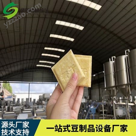自动上脑豆干设备 豆腐干生产线厂家供应 智能泡豆系统