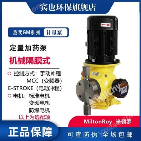 GM0025SP1MNN米顿罗选型G系列GM0002SP-GM0050SP机械隔膜泵 不锈钢计量泵 现货供应