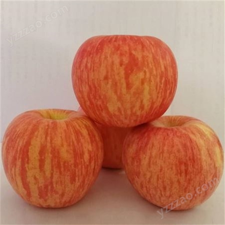 新鲜苹果价格 皮薄肉厚苹果价格好 纸袋红富士价格很好 裕顺个大果正