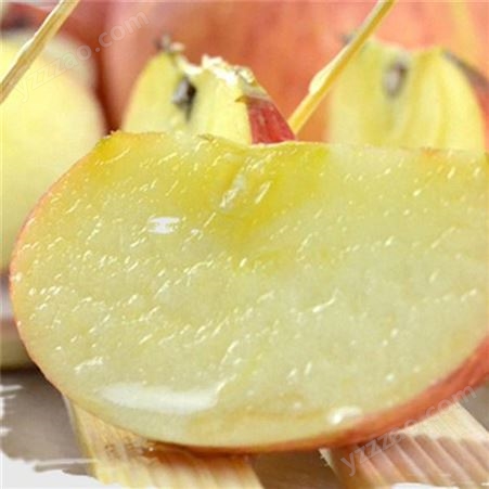 烟台红富士 早熟苹果糖分高 好吃的苹果 裕顺个大果正