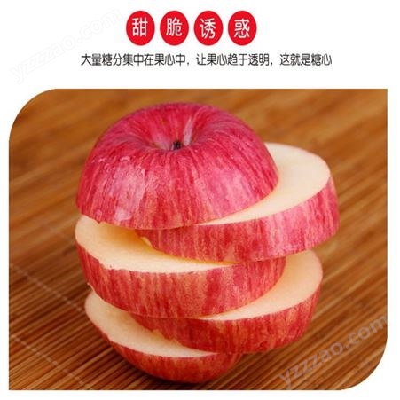 红富士苹果批发 皮薄肉厚苹果价格好 烟台红富士苹果种植 甜度好果实大裕顺基地