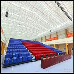 沧州永泰体育馆活动看台座椅 供应电影院