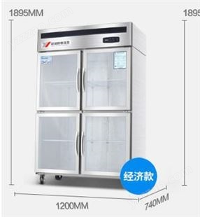 MosseetR2/F2两门直冷冷冻柜 立式直冷冰柜 商用冰柜